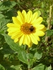 begegnungsgarten_12_1