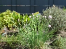 begegnungsgarten_14