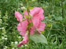 gartenimpressionen01