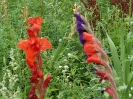 gartenimpressionen02