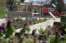 Gartenbuch_19_1