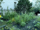 Willkommens-Kultur-Garten Spandau _2