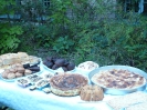 Willkommens-Kultur-Garten Spandau _3