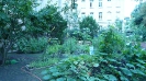 Willkommens-Kultur-Garten Spandau _5