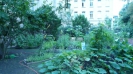 Willkommens-Kultur-Garten Spandau _7